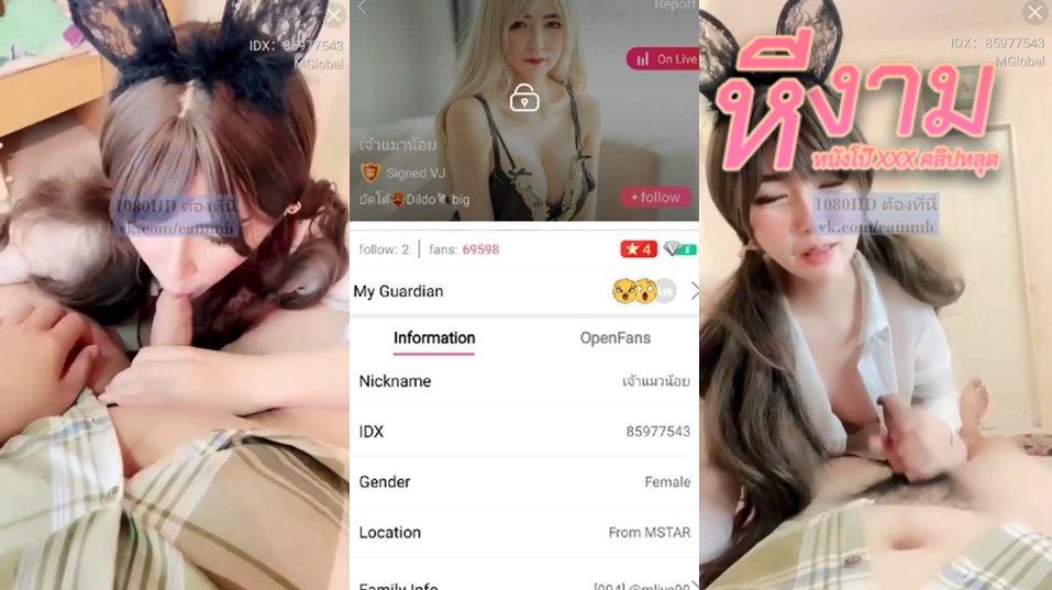 ไลฟ์สดเด็ดๆ IDX-85977543 เจ้าแมวน้อยสาวหุ่นขาวๆมาโชว์ลีลาเด็ดๆโม๊คควยแฟนหนุ่มอย่างเสียว